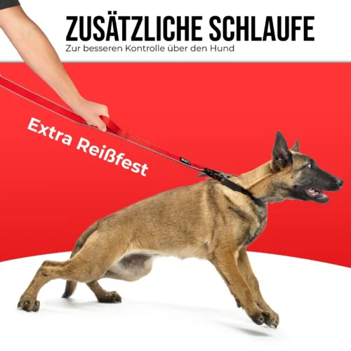 Alternative view of Hundeleine Lina 1.5 M für mittelgroße & große Hunde& Dog Leash reflektierend
