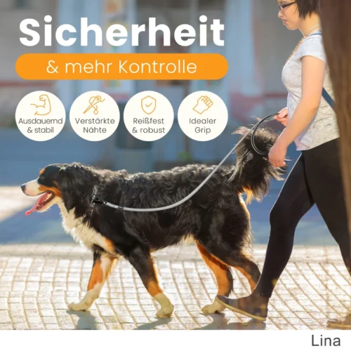 Robuste Hundeleine für große Hunde mit sicherem Karabiner