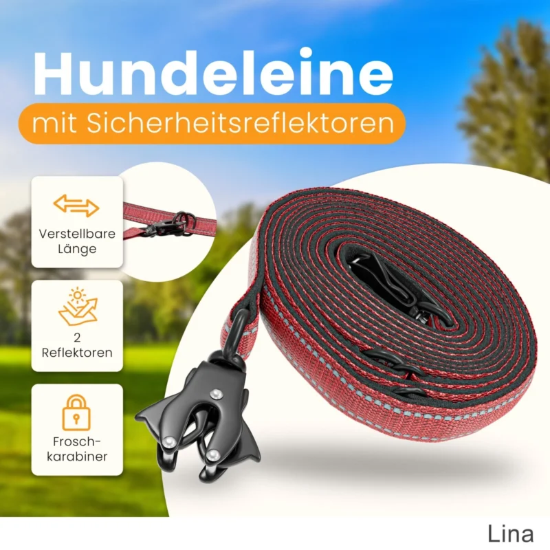 Robuste Hundeleine für große und mittelgroß Hunde