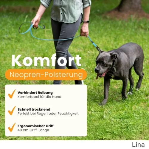 Sicheres Gassigehen mit Hund und Hundeleine