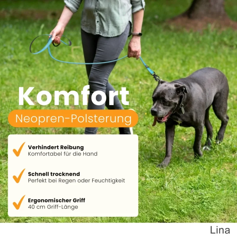 Sicheres Gassigehen mit Hund und Hundeleine