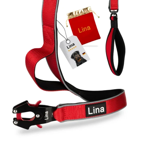 Hundeleine Lina 1.5 M für mittelgroße & große Hunde& Dog Leash reflektierend