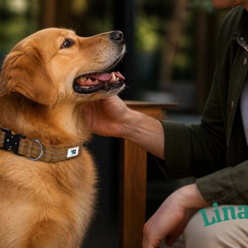 Khakis reflektierende Hundehalsband von Lina Pet