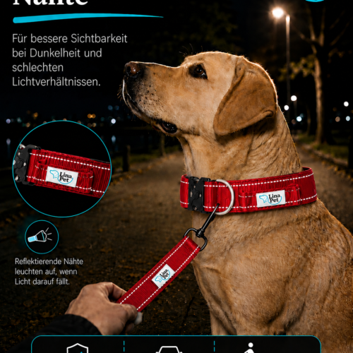 Rote reflektierende Hundehalsband von Lina Pet