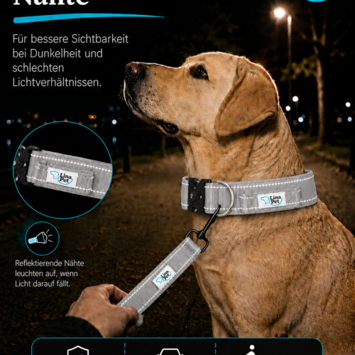 Graue reflektierende Hundehalsband von Lina Pet