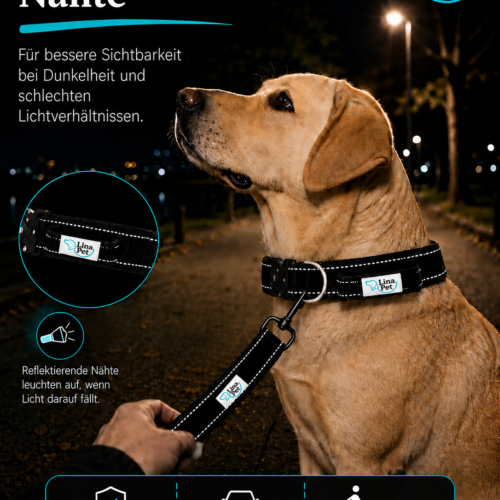 Schwarze reflektierende Hundehalsband von Lina Pet