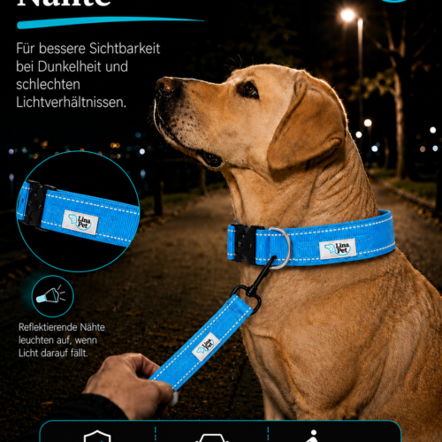 Türkise reflektierende Hundehalsband von Lina Pet
